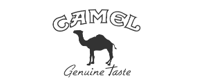 Camel